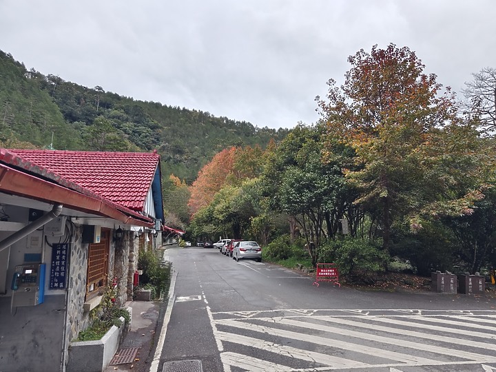 帶著VIVO X90 PRO+ 來武陵農場賞楓品梅走桃山步道