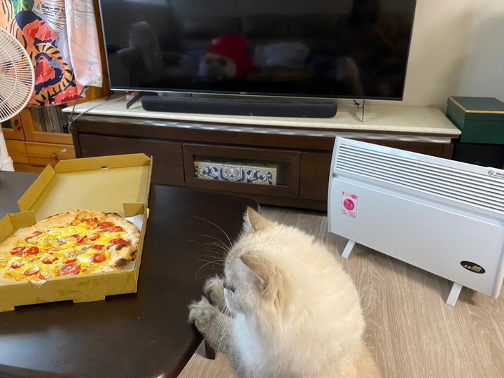 #開箱 北方電暖器CNI-1500使用心得
