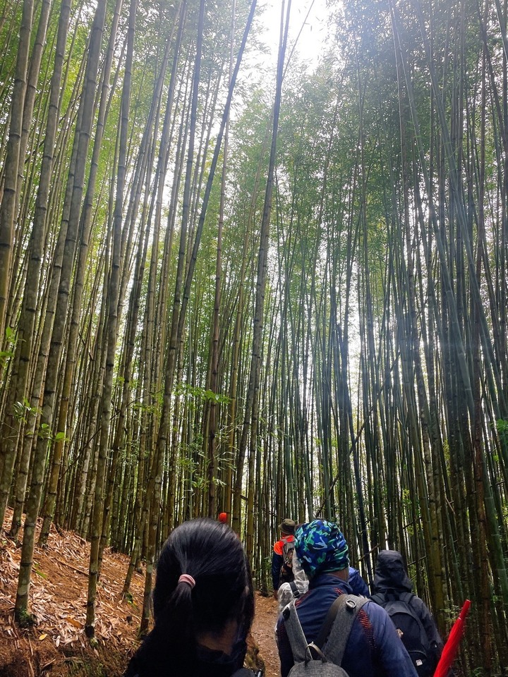 【上帝的部落-司馬庫斯】2天1夜跟團心得分享