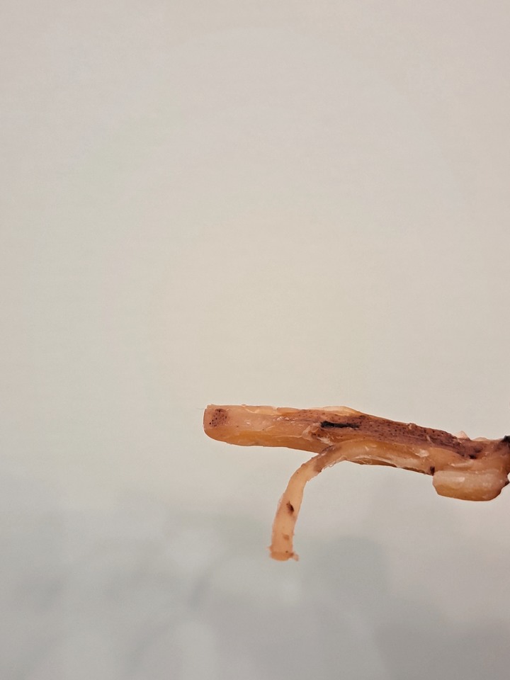 超商下酒零食分享