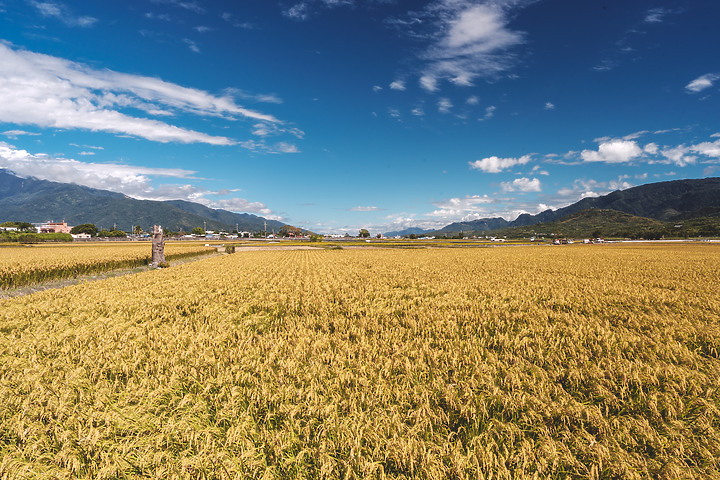 【遊記】花東。A7M3+Batis 25mm & 40mm
