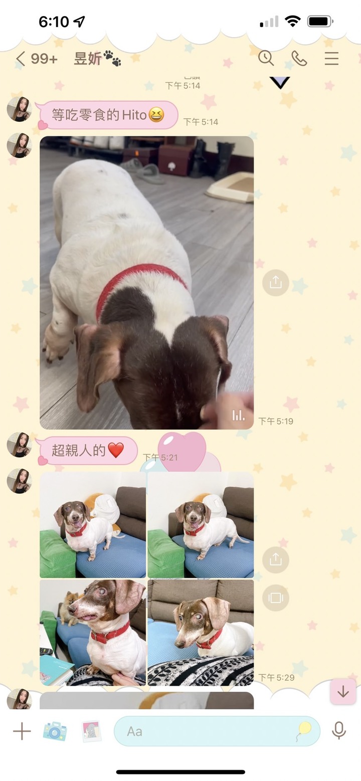 #心得 狗狗寄宿新體驗