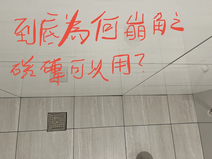 令人傻眼的貼磚，你們驗收得下去嗎？還是我太要求？