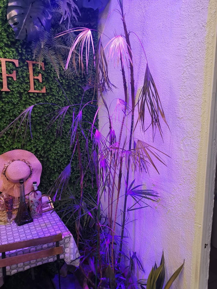 植物品種名稱請益,及枯萎求救
