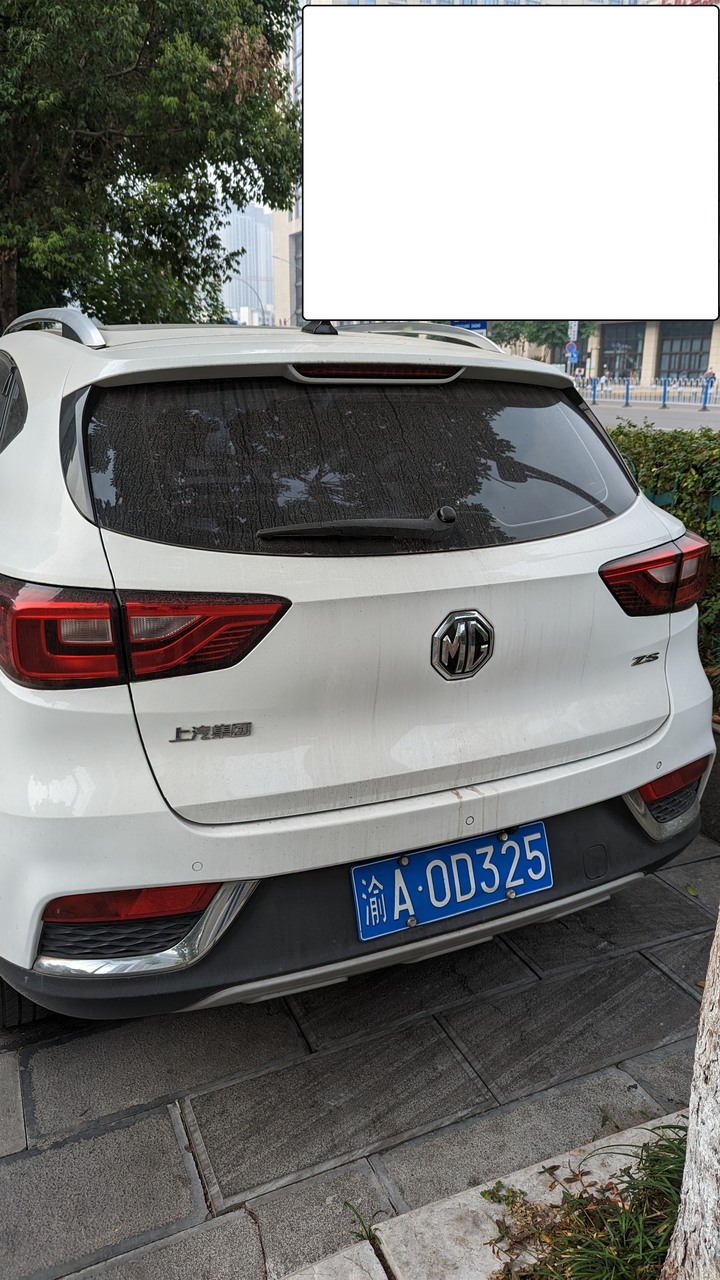 出差近一個月所看到的對岸汽車(尤其是新能源車)分享~