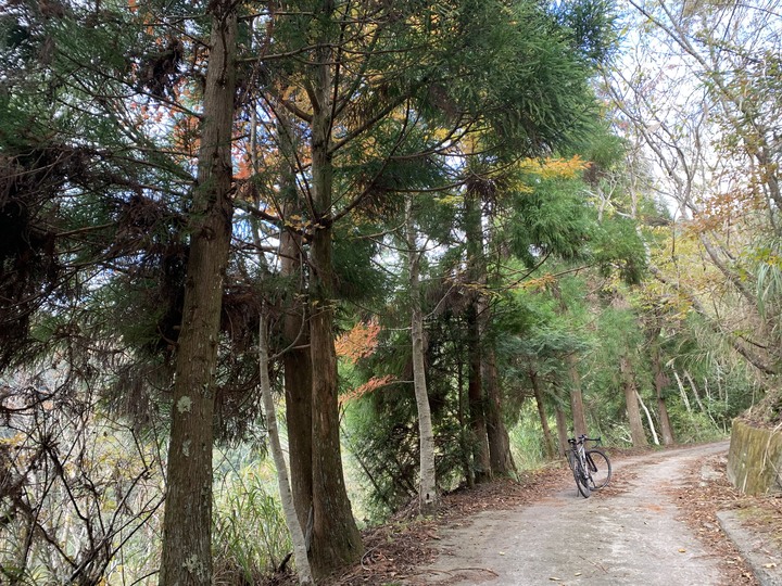 礫石車騎小路上宇老 (武道能敢-李崠山-宇老-馬里闊丸溪右岸 O型)
