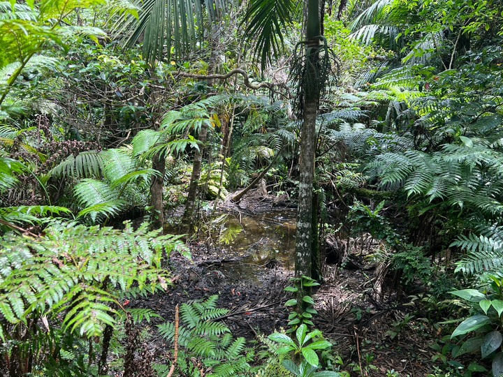台東蘭嶼｜紅頭山．山海美景一次擁有的離島小百岳