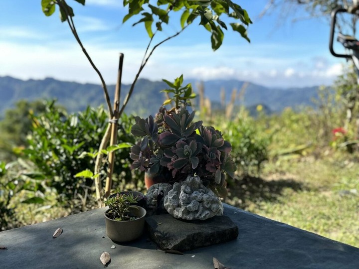 竹林深處的花園營地,少帳包區很可以 !