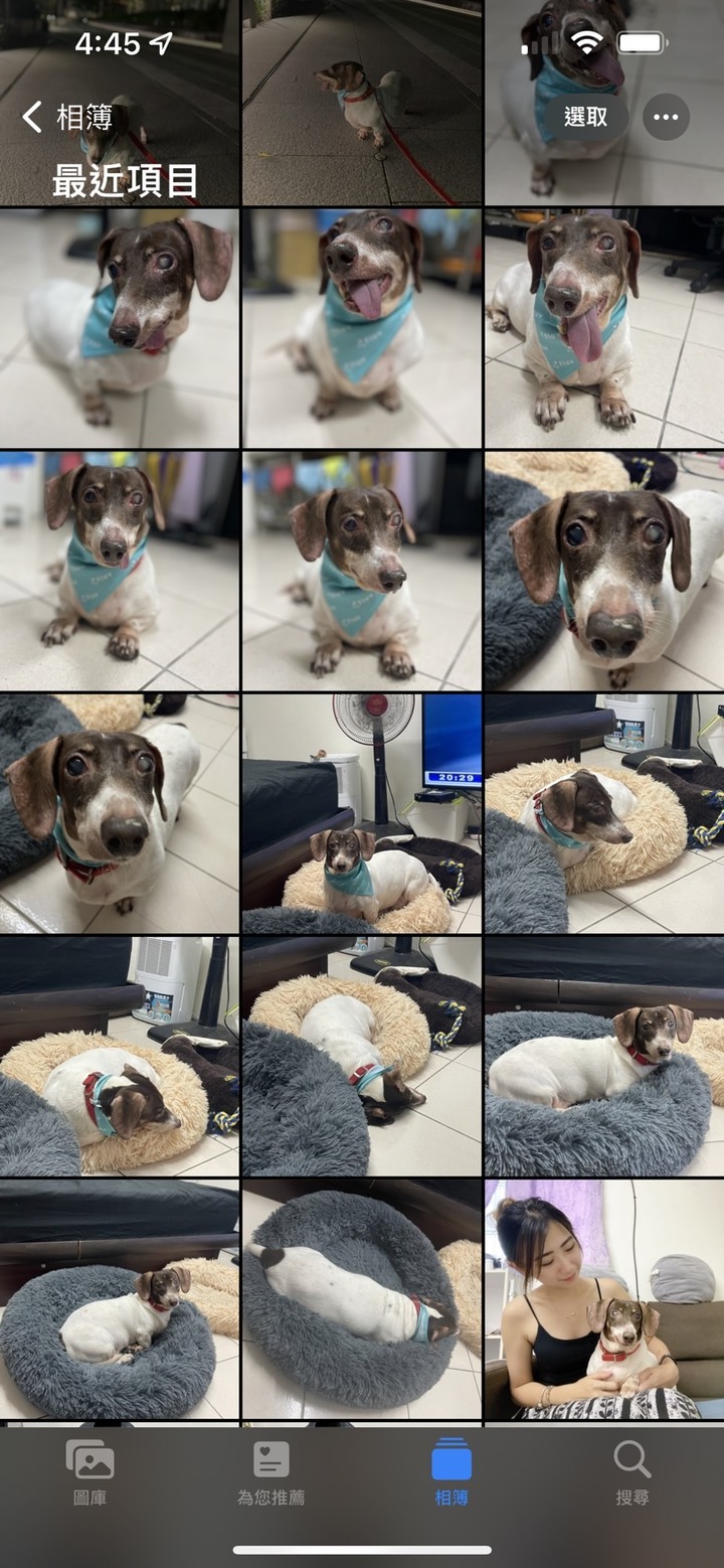 #心得 狗狗寄宿新體驗