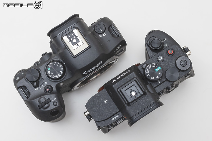 Canon R6 Mark II vs. Sony A7 IV |中階全幅的正面對決!