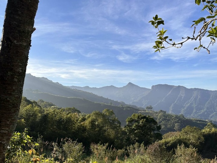 竹林深處的花園營地,少帳包區很可以 !
