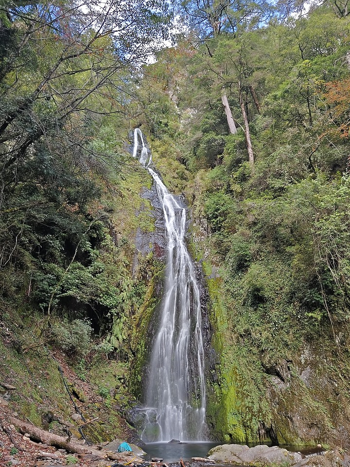 帶著VIVO X90 PRO+ 來武陵農場賞楓品梅走桃山步道