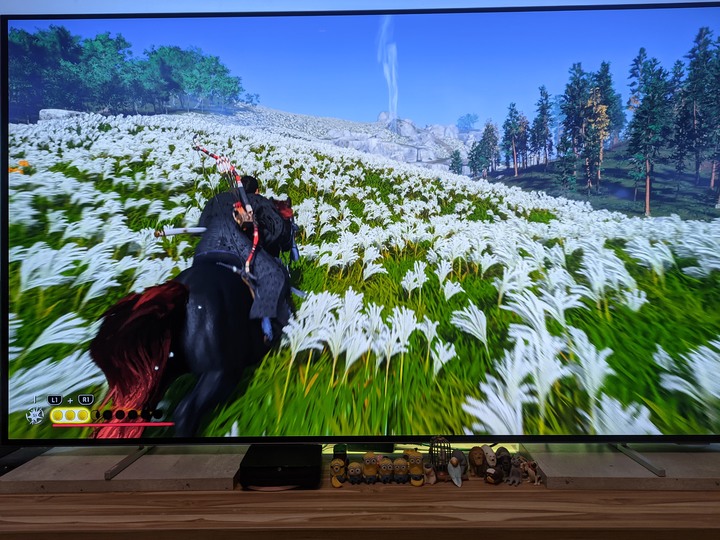 點我看大圖 ~初試 OLED cp值最高的Philips 55oled806 再見了LED~