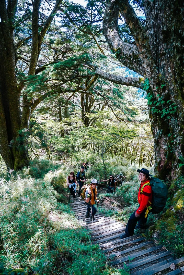 我是海龜,您登山會瘦嗎? 我的2022年團體登山全紀錄。(#芹仁PlayWhat)
