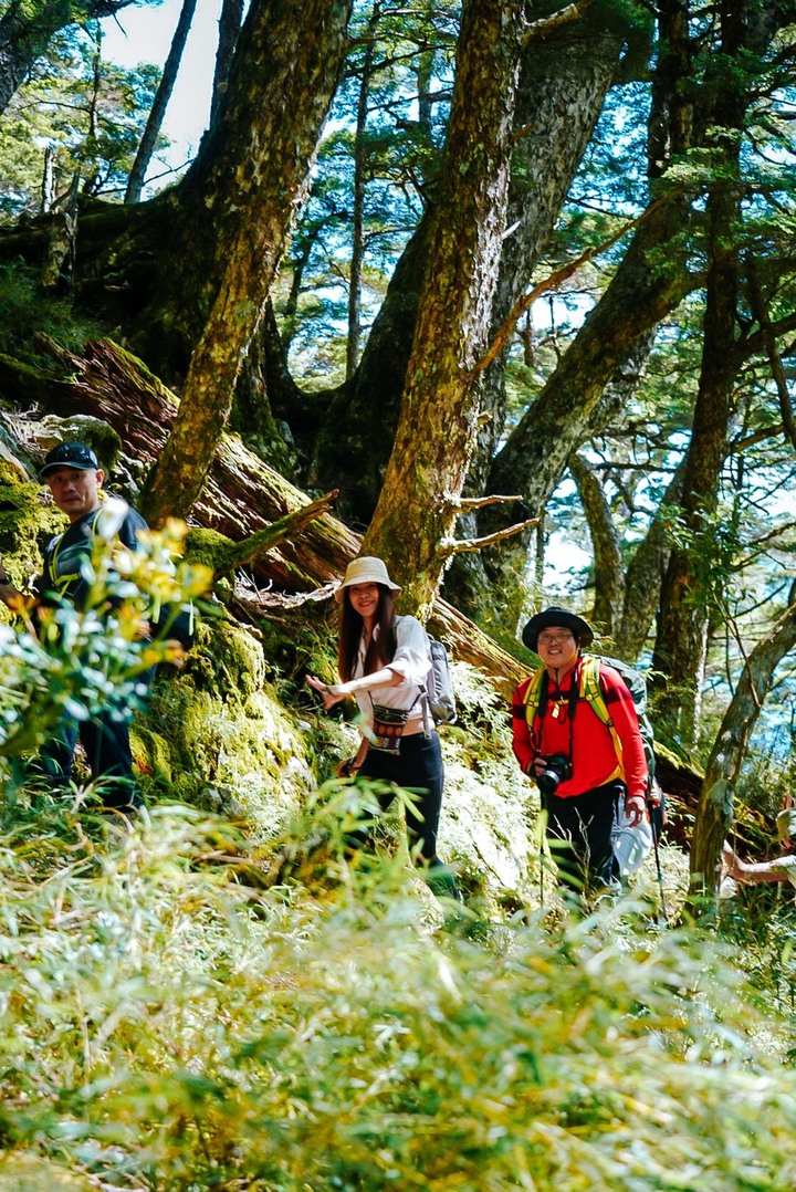 我是海龜,您登山會瘦嗎? 我的2022年團體登山全紀錄。(#芹仁PlayWhat)