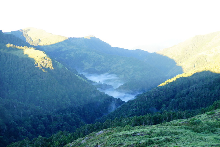 我是海龜,您登山會瘦嗎? 我的2022年團體登山全紀錄。(#芹仁PlayWhat)