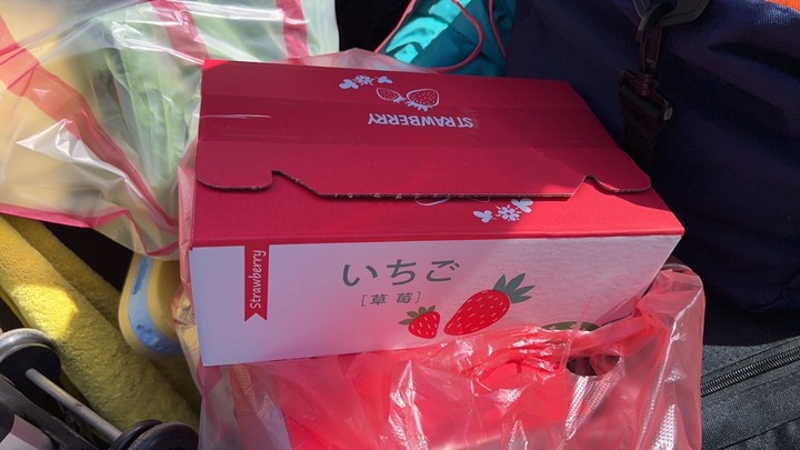 【小惡魔好玩兔U】苗栗大湖吳家高架草莓,把握最後的採收期