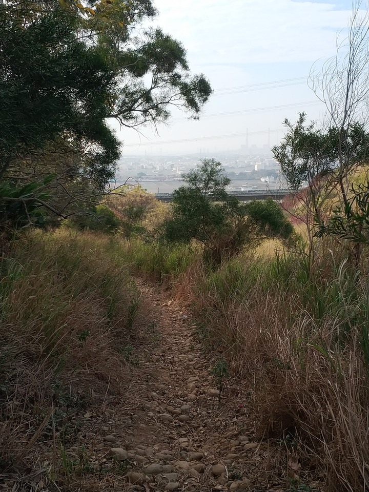(圖/影) 台中龍井超級八MTB路線 (南寮登山步道)