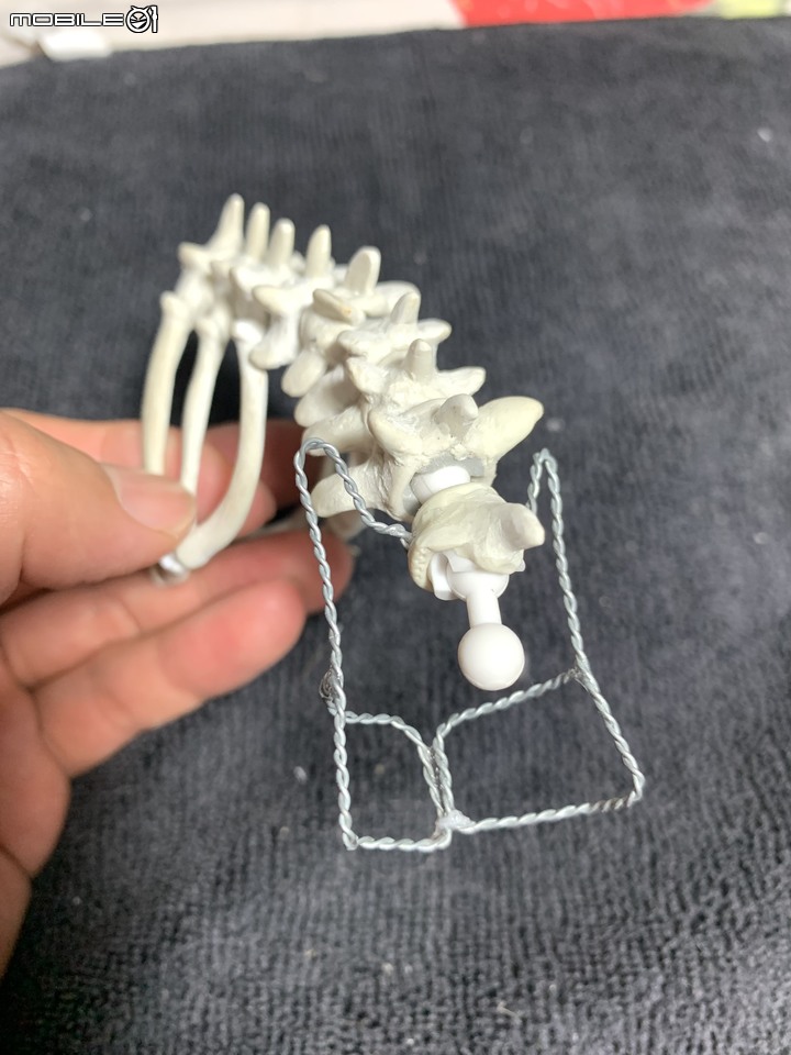 DIY 劍齒虎骨歷經13年終於製作完成.