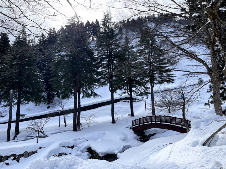 【小惡魔好玩兔U】東京 | 新潟 湯澤町 Yuzawa 初學者の滑雪之旅＆上野動物園