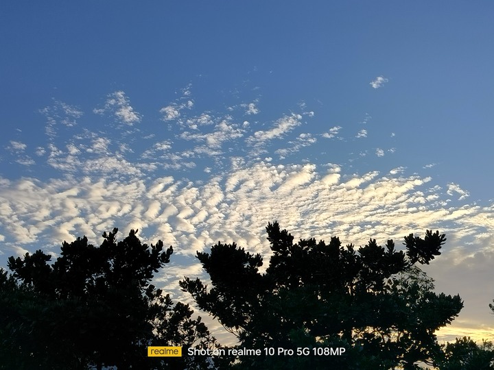 Realme 10 Pro小拍照