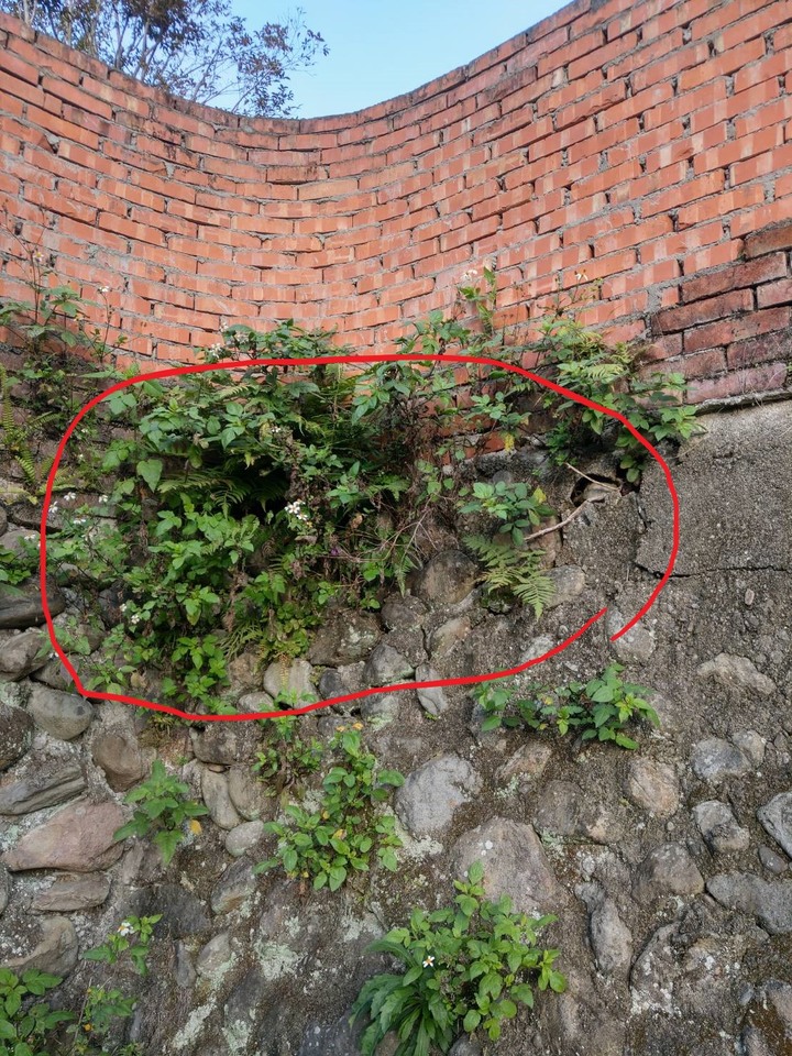 請問半山腰的房子有傾斜現象~~