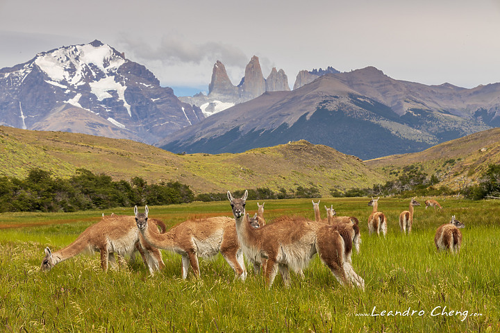 點我看大圖 從極南的Patagonia到玻利維亞天空之鏡