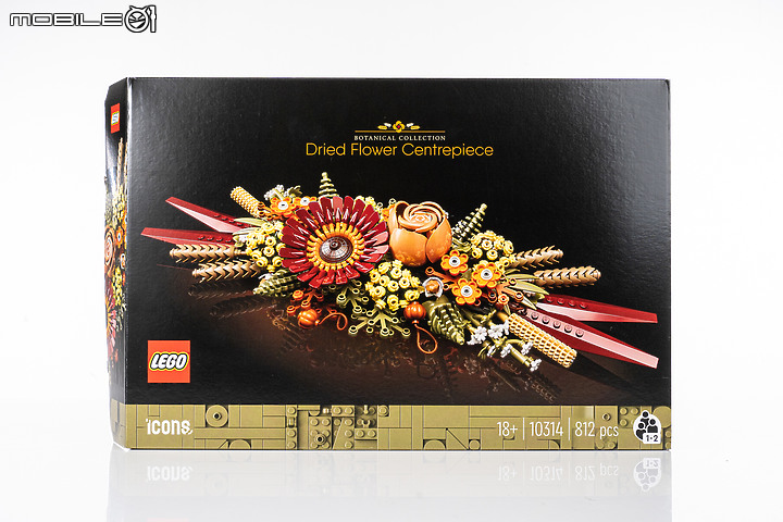 樂高LEGO 10313 / 10314 Icons 野花花束、乾燥花擺設｜一展園藝心思的真「塑膠」花