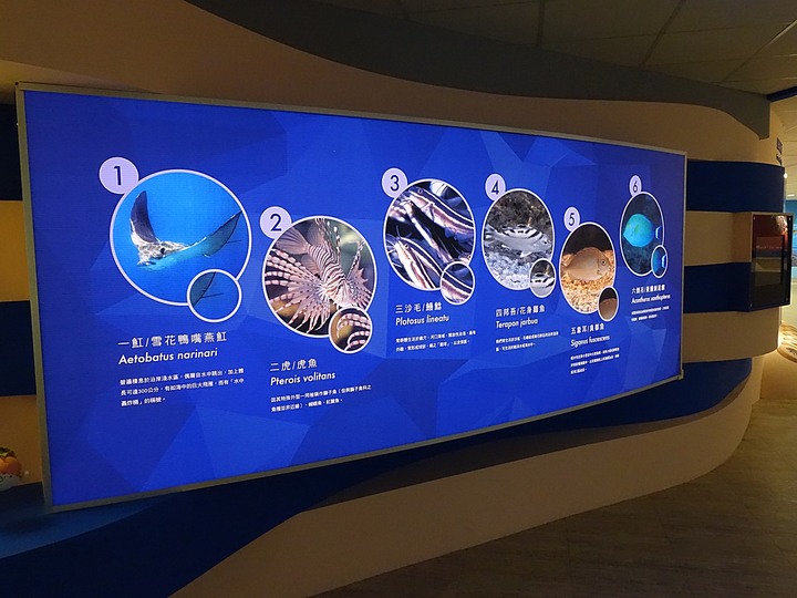 澎湖開拓館、澎湖縣文化園區【海洋資源館、二呆藝館、澎湖化石館】 — 澎湖市區文化景點 — 2022冬遊澎湖遊記 第四部