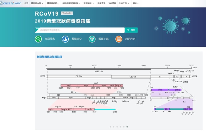 中共的 RCoV19 2019新型冠狀病毒資訊庫