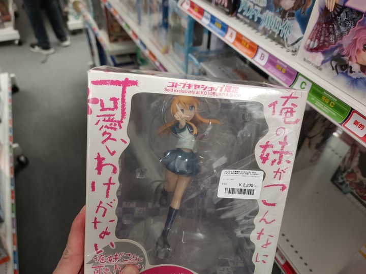 【小惡魔好玩兔U】秋葉原 二次元挖寶好去處－駿河屋／らしんばん／JUNGLE