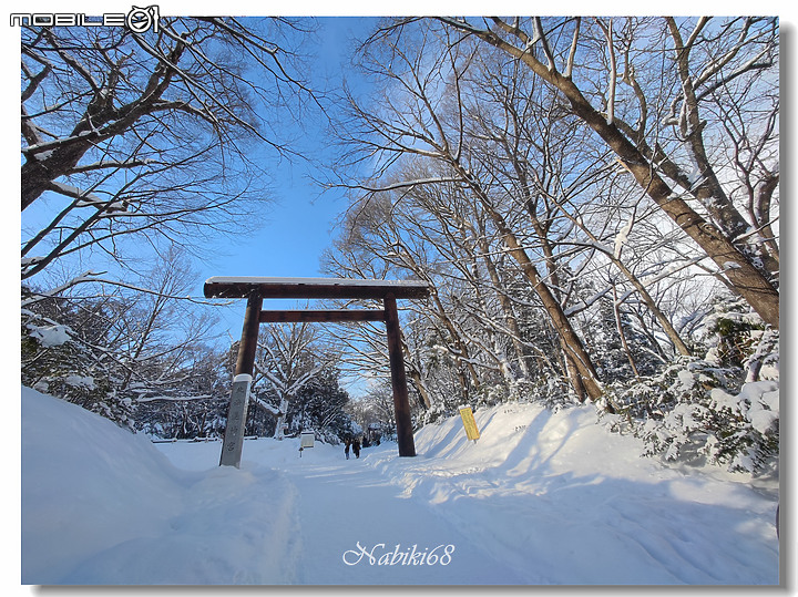 【小惡魔好玩兔U】札幌人氣景點 "北海道神宮"
