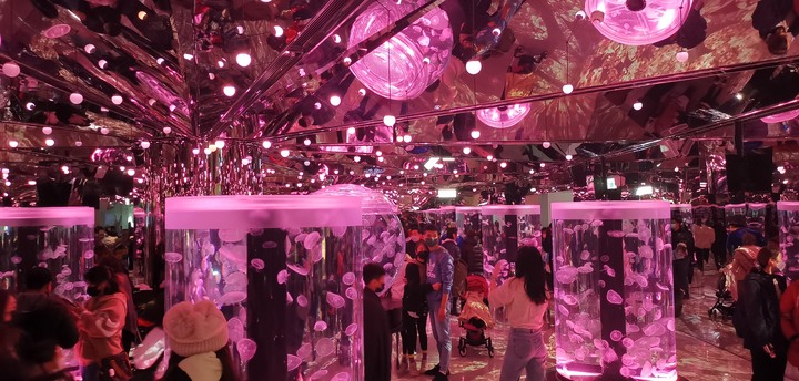 【小惡魔好玩兔U】初四來去日系都會型水族館XPARK