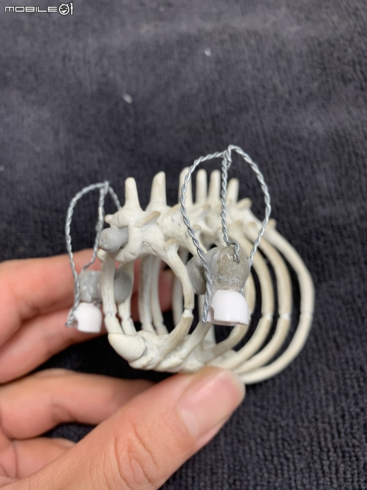 DIY 劍齒虎骨歷經13年終於製作完成.
