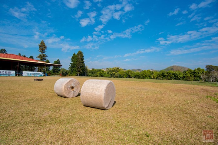 【臺南景點】台南農曆春節這樣玩，一站式休閒農場，適合一家大小來玩耍，就在走馬瀨休閒農場~2023新春走馬瀨瀨祭