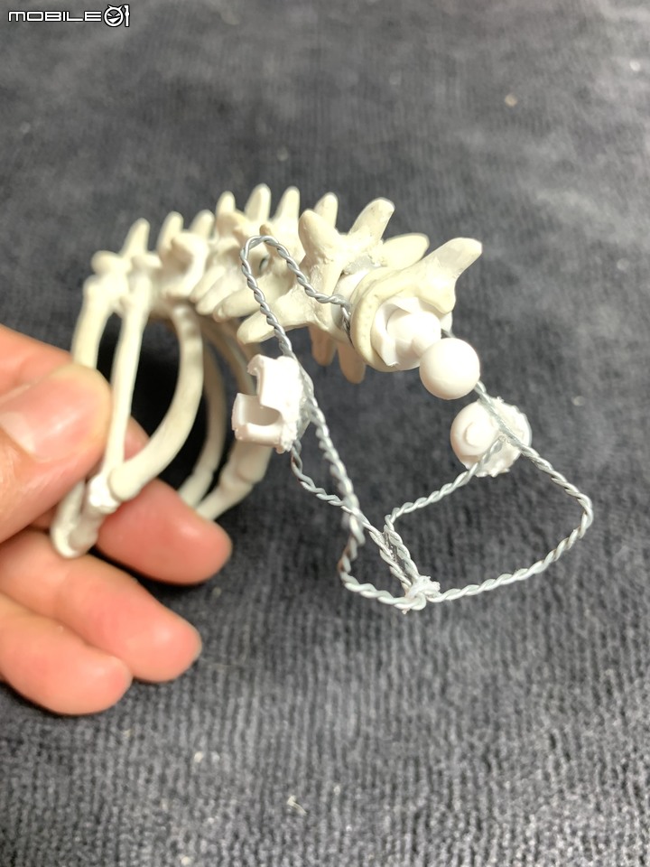 DIY 劍齒虎骨歷經13年終於製作完成.