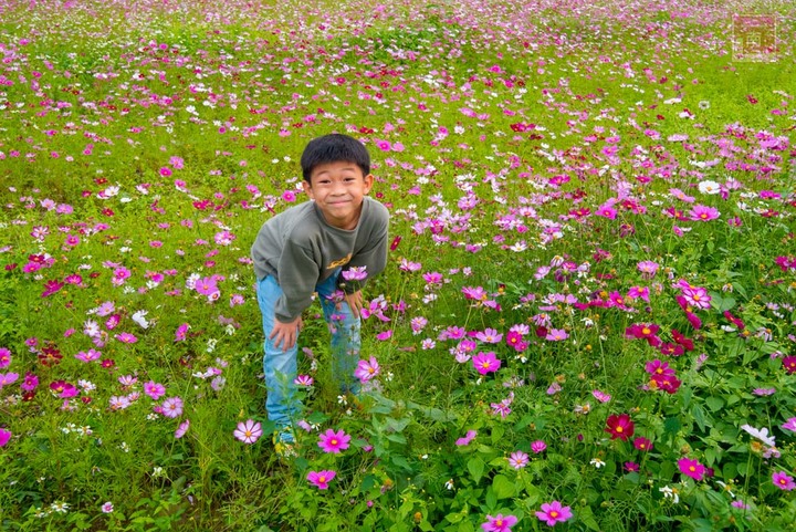 【臺南景點】台南農曆春節這樣玩，一站式休閒農場，適合一家大小來玩耍，就在走馬瀨休閒農場~2023新春走馬瀨瀨祭