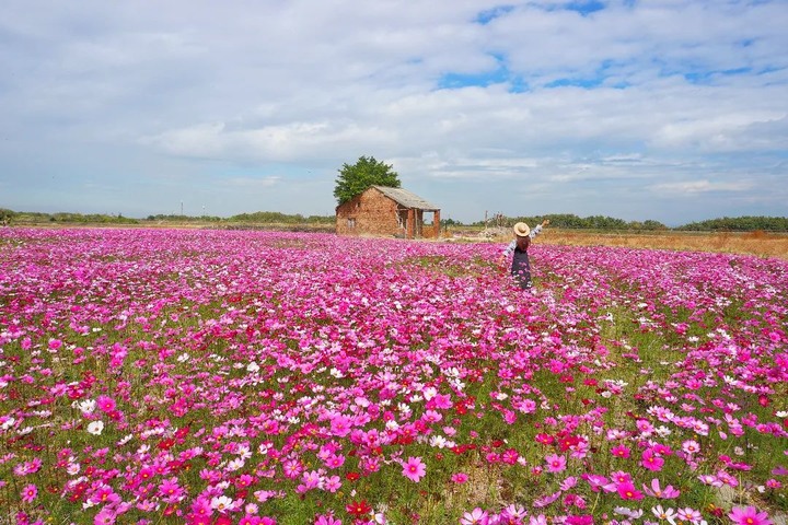 宛若歐洲小鎮鄉村美景！佇立在繽紛花海中的「磚紅小屋」，田園風情滿點！