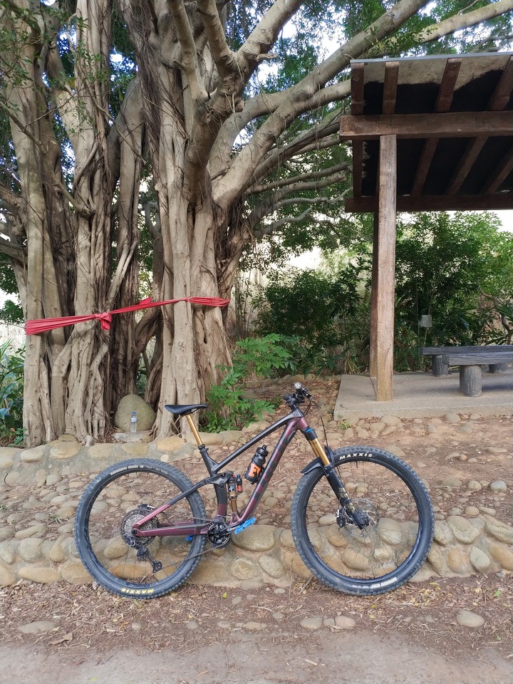 (圖/影) 台中龍井超級八MTB路線 (南寮登山步道)