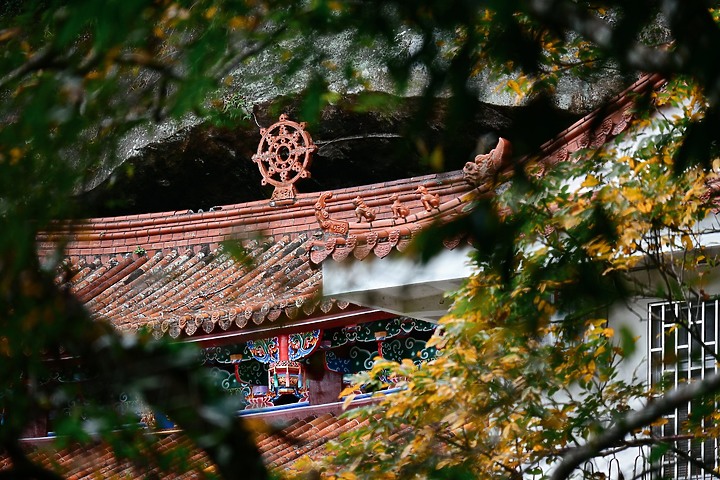 【Z50】漫步百年獅山古道