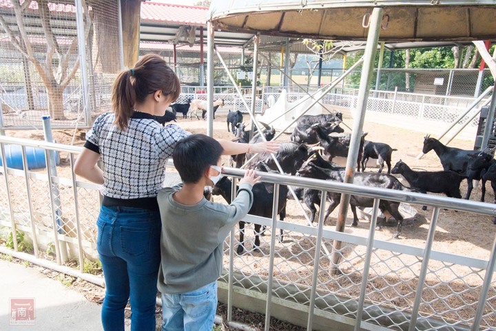 【臺南景點】台南農曆春節這樣玩，一站式休閒農場，適合一家大小來玩耍，就在走馬瀨休閒農場~2023新春走馬瀨瀨祭