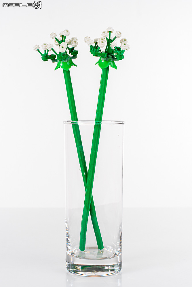 樂高LEGO 10313 / 10314 Icons 野花花束、乾燥花擺設|一展園藝心思的真「塑膠」花