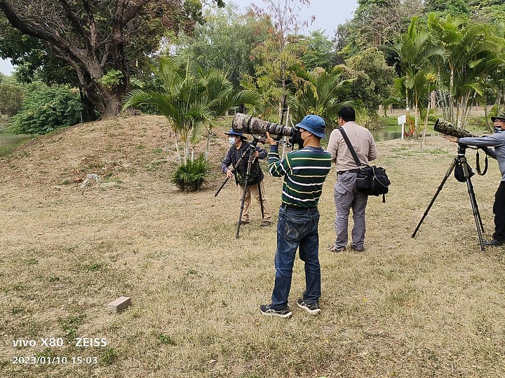 點我看大圖 Nikon Z9+863PF+1.4X清楚記錄地啄木進食螞蟻的過程