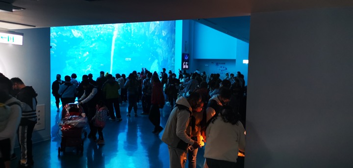 【小惡魔好玩兔U】初四來去日系都會型水族館XPARK