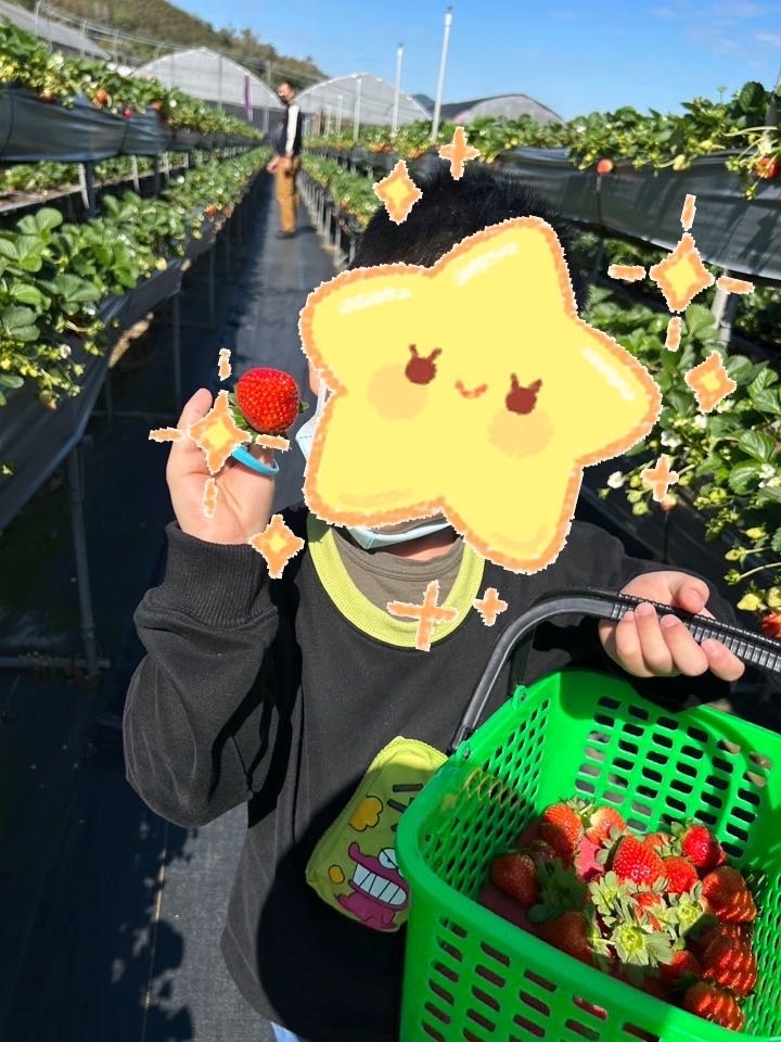 【小惡魔好玩兔U】苗栗大湖吳家高架草莓,把握最後的採收期