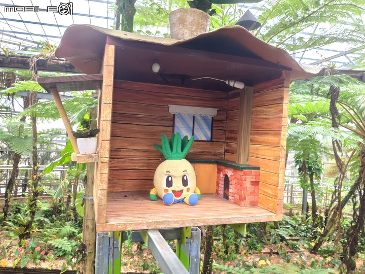 【小惡魔好玩兔U】沖繩 | 名護市Nago 可愛鳳梨公園&悠閒浮潛&海洋公園之旅
