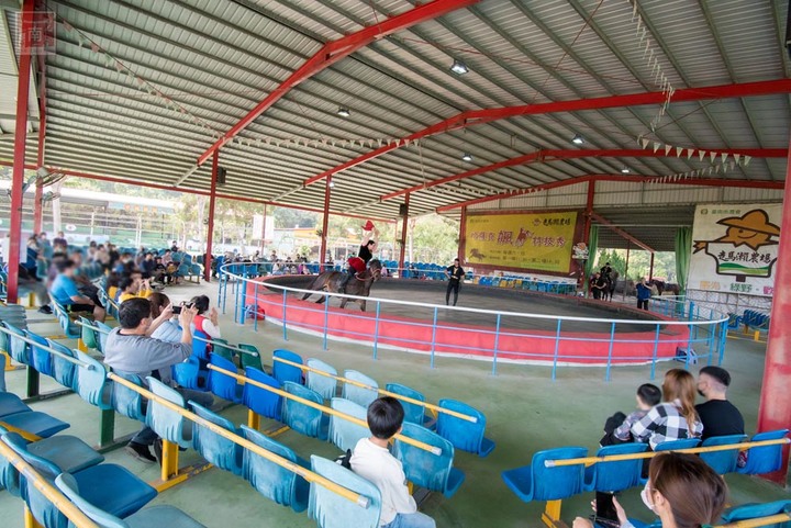 【臺南景點】台南農曆春節這樣玩，一站式休閒農場，適合一家大小來玩耍，就在走馬瀨休閒農場~2023新春走馬瀨瀨祭