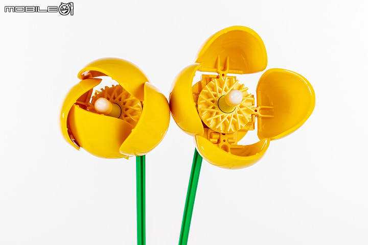 樂高LEGO 10313 / 10314 Icons 野花花束、乾燥花擺設|一展園藝心思的真「塑膠」花