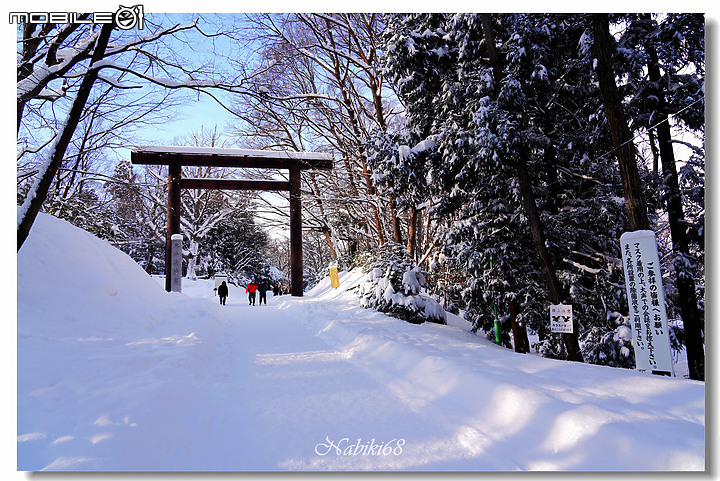 【小惡魔好玩兔U】札幌人氣景點 "北海道神宮"