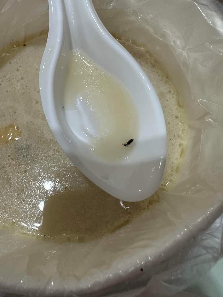 請問有在煮菜的媽媽們，這是菜蟲嗎？